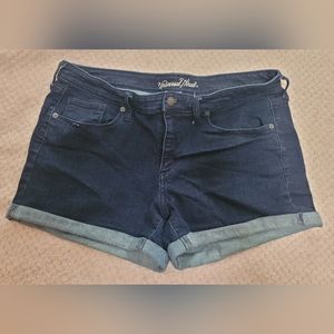 Jean Shorts. Size 16